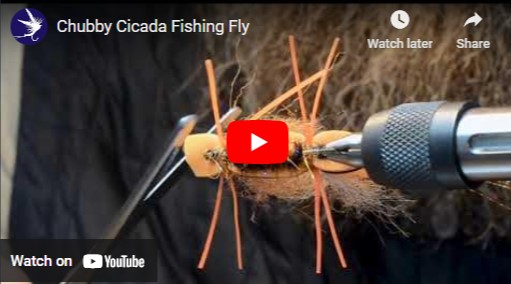How to tie a Chubby Cicada Fishing Fly